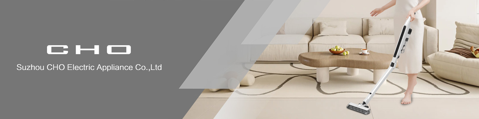 China best 2 In 1 Cordless Vacuum Cleaner on sales